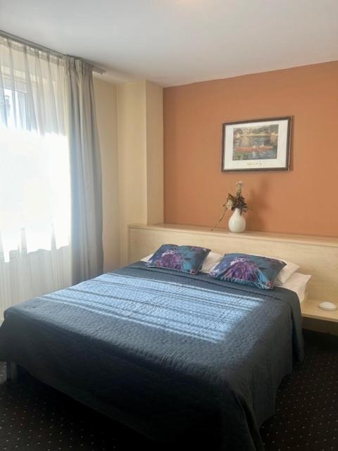 Hotel Pacific 蒂米什瓦拉 外观 照片