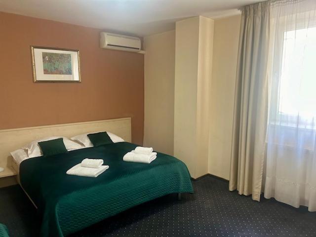 Hotel Pacific 蒂米什瓦拉 外观 照片