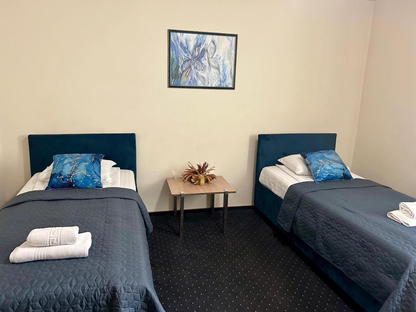 Hotel Pacific 蒂米什瓦拉 外观 照片